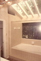 Ponderosa Forest tub and shower with skylight